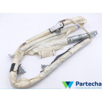 Dachairbags