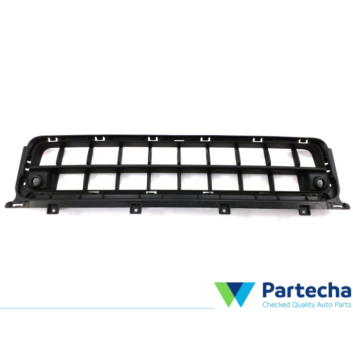 MINI MINI COUNTRYMAN (F60) Unterer Kühlergrill der vorderen Stoßstange (51117390525)