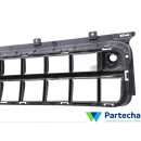 MINI MINI COUNTRYMAN (F60) Unterer Kühlergrill der vorderen Stoßstange (51117390525)
