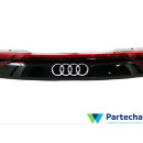 AUDI Q8 (4MN) Rücklicht (4M8945095Q)